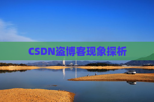 CSDN盗博客现象探析 CSDN盗博客现象探析